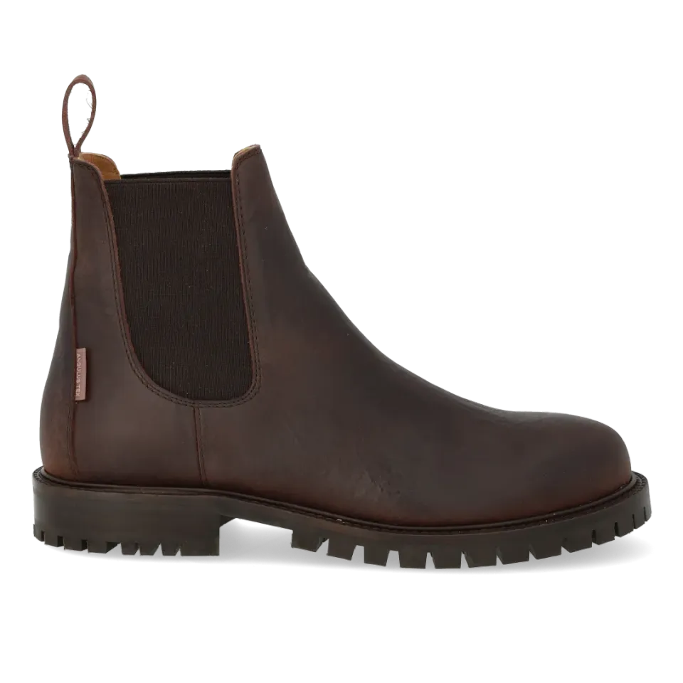 Angulus boots Chelsea TEX membrane cuir imperméable